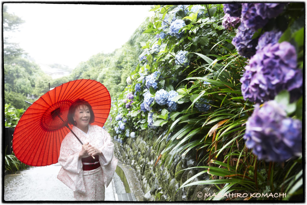 Tomada con hortensias ia actriz Yukiji Asaoka en Kamakura