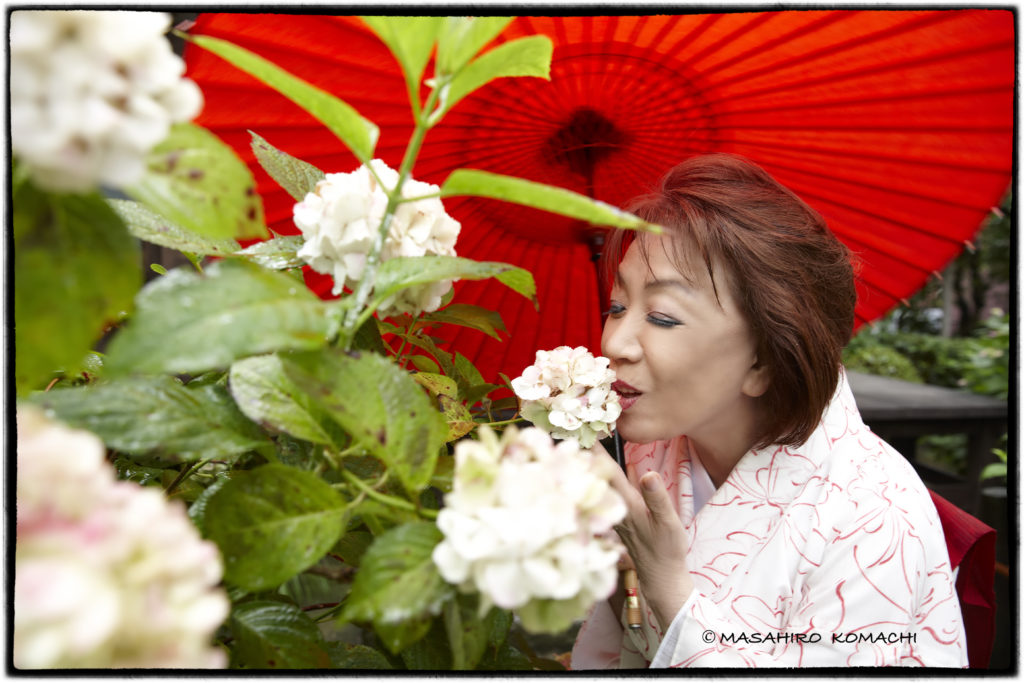 La actriz Yukiji Asaoka fotografiada con hortensias blancas en Kamakura